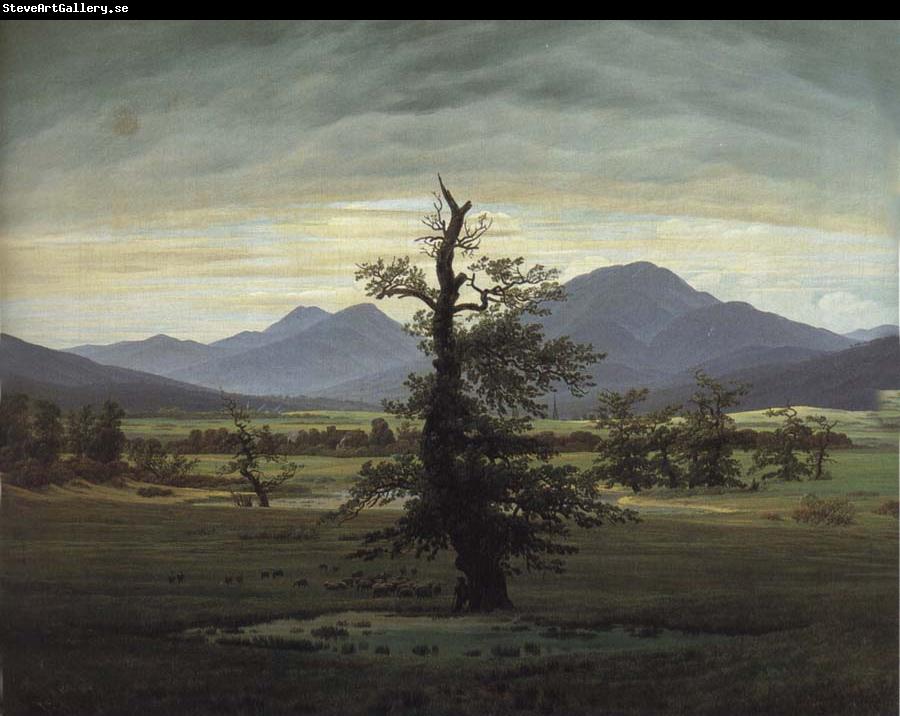 Caspar David Friedrich The Solitary Tree